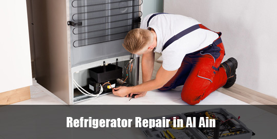 Refrigerator Repair Al Ain