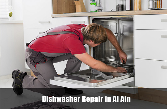 Dishwasher Repair Al Ain 